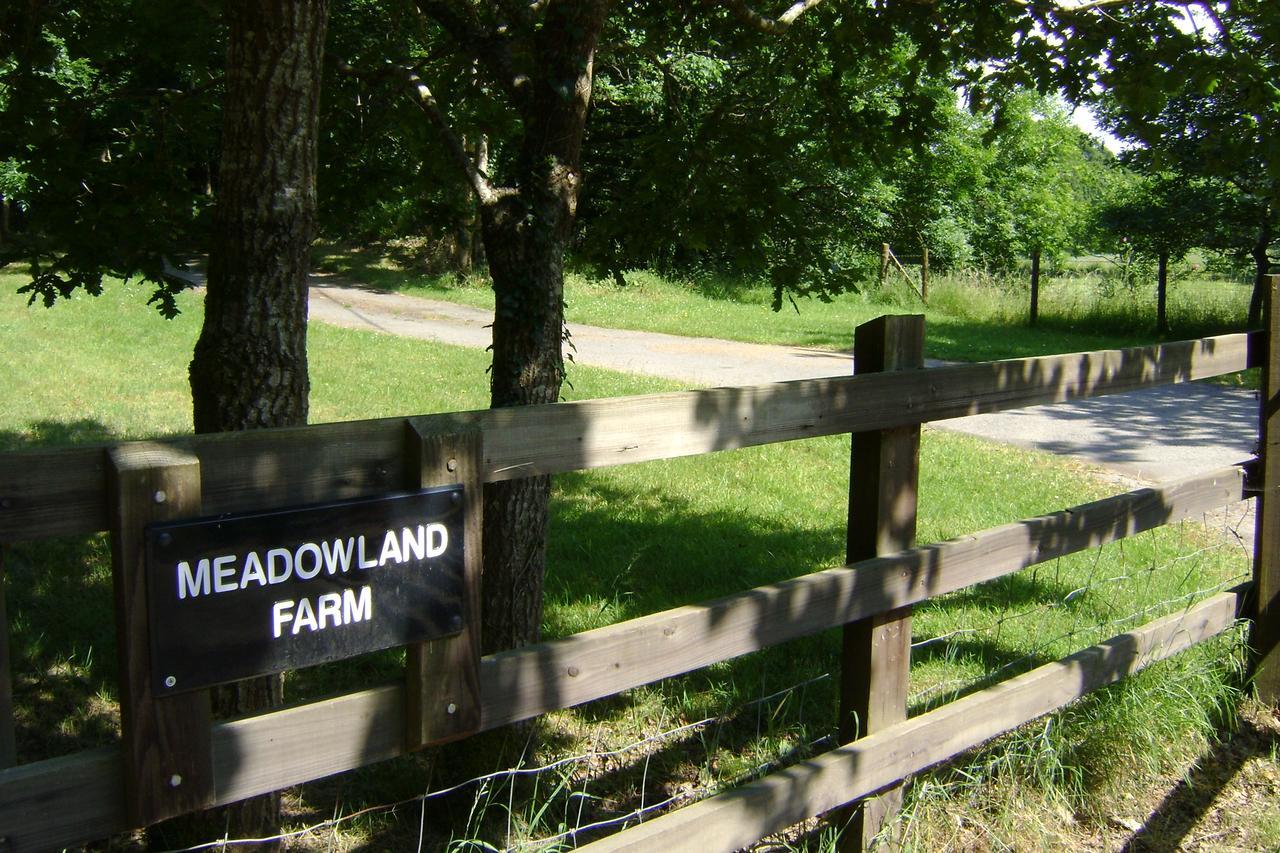 Meadowland Farm Bed & Breakfast Dolton Dış mekan fotoğraf