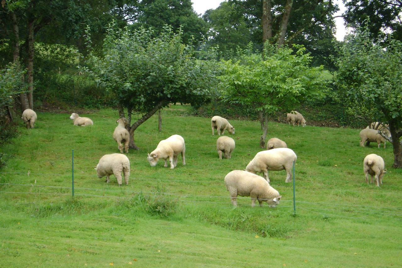 Meadowland Farm Bed & Breakfast Dolton Dış mekan fotoğraf